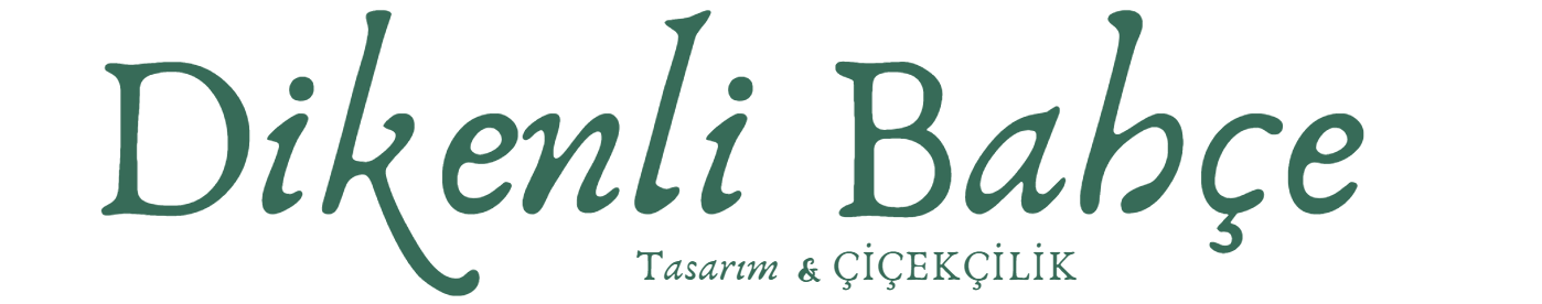 Bafra Çiçekçi | Dikenli Bahçe Çiçekçilik | Aynı Gün Çiçek Teslimatı 